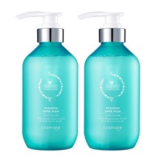 히아루론 약산성 여성청결제, 500ml, 2개