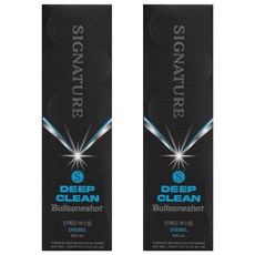 불스원샷 시그니처 딥클린 500ml, 디젤/경유, 2개