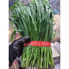 부추 1kg 1단 야채맘, 1개