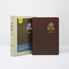 90일 성경일독 통큰통독 쉬운성경(다크브라운)단본 무지퍼 색인, 아가페출판사 아가페출판사