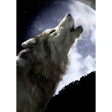 늑대 울부짖는 식용 아이싱 이미지 1/4 시트 Wolf Howling Edible Icing Image 1/4 Sheet, 1개