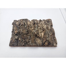 코르크보드 굴피 껍질 크레 등각류 절지류 탈피, 1개, 15cm