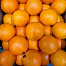 수입과일 XL 블랙라벨 오렌지 5입 [P]