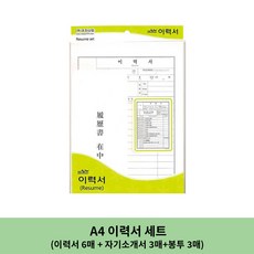 우진 A4 이력서 세트 /이력서 자기소개서 봉투, 1개
