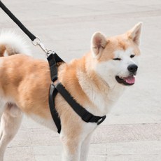 대형견 목줄리드줄 하네스 XS 블랙 충격완화