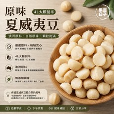 果富日子 4L大顆原味夏威夷豆 澳洲原料 SGS檢驗合格, 1個, 生夏威夷豆300克, 生夏威夷豆300克