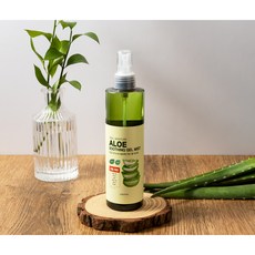 에이썸 리얼 모이스처 알로에 수딩젤 미스트, 1개, 250ml