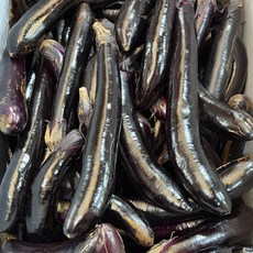 국내산 부드러운 가지1kg, 1세트, 1kg