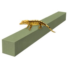 레몽크리프 도마뱀 파충류 크레스티드게코 EVA 고밀도백업 3x3cm 50cm, 1개, 올리브