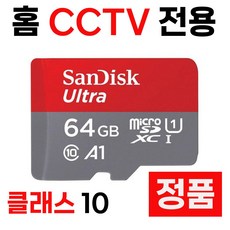 홈 CCTV 이글루캠 S4 +S3 메모리 SD카드 64GB, 1개
