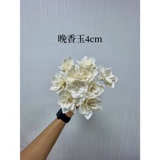 “Be a florist 花藝夢” 高品質索拉 晚香玉索拉4公分、6公分 "十支" 擴香花 乾燥花 永生花 不凋花, 淺紫,6公分