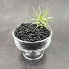 압축 활성탄 3종 조립활성탄 수족관 테라리움 불순물제거 수질정화 공기정화 냄새탈취, 50g, 1개