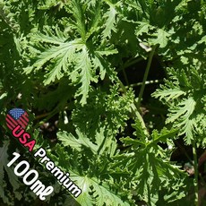 A007 씨트로넬라 100ml (Citronella) 프래그런스오일 캔들 디퓨저 향수, 1개