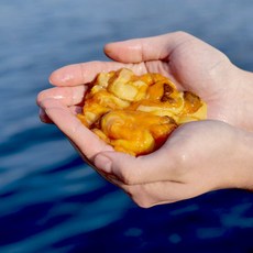 통영 서민갑부 평화수산 손질 멍게 깐 멍게 횟감용 멍게 500g 1kg 2kg, 1개, 깐멍게2kg