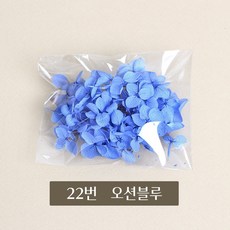 화연양화 프리저브드플라워 수국 1g 30색, 22 오션블루