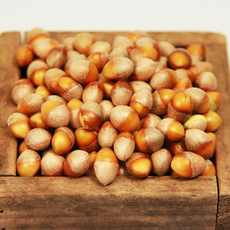 국내산: 순창군 강천골농원 깐은행(대) 1kg 무농약인증, 1개, 500g