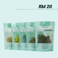 스칸디아모스 20g 실내공기정화식물 천연이끼 공예 액자 화분 만들기 재료, 실버그레이, 1개