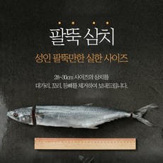국내산 남해안 등푸른 삼치 팔뚝삼치 15필렛 손질 생선 개별진공포장, 15개, 1.2kg내외