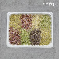 혼합 새싹채소 500g 신선한 생채소 샐러드 토핑, 1개