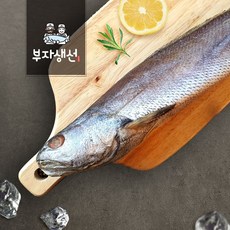 국내산 제수용 반건조 참민어(망미중앙시장 부자생선), 1개, 참민어 45cm 1마리