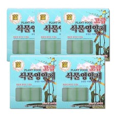 난전용 고급 영양제 동양난 서양란 호접란 활력제 50개, 5개, 360ml