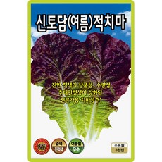 산들마켓 신토담여름적치마 상추 씨앗 3000립 전한 적색의 상품성 추대안정성이 강화된 전문가용 고급 종자, 1개