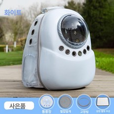 스타일리시 경량 반려동물 백팩 대용량 투명창 고양이 강아지 가방, 1개