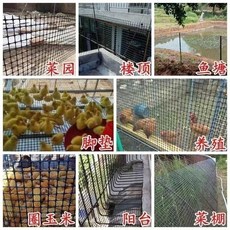 加厚塑料網 圍欄網 圍雞鴨 圈瓜棚網 玉米網, 1.0米高50米長19斤（黑色普通款）