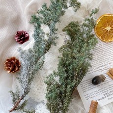 大地農園 乾燥雪松聖誕花圈材料包，含松果諾貝松葉材，乾燥花不凋花永生花，聖誕樹裝飾DIY首選, 綠油油s,乾燥款微會掉葉正常、如影片圖片示意, 1個