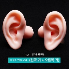 모형 인체 귀청소 골격 피어싱 귀 연습 해부 교육, 채이 실리콘 모델(왼쪽 귀+오른쪽 귀), 1개