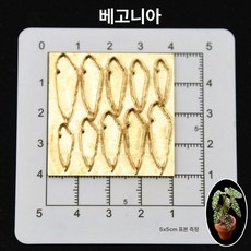 1/6 1/12 BLYTHE 클레이아트 인형소품 미니어처만들기 꽃 식물 합금 몰드, 가을 베고니아, 기본 향