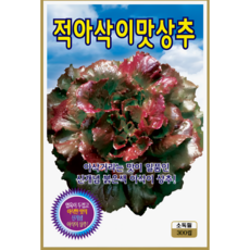 KS종묘 적아삭이맛상추 씨앗 300립 붉은아삭이 상추 종자 ks, 1개