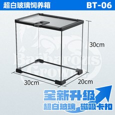 곤충 사육통 파충류 유리 비바리움 곤충보관함 도마뱀 소형 파충류 사육장, 1개, 6_애완 항아리 30x20x30cm 속눈썹