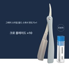 페더아티스트클럽 DX 레이저 ACD-R 프로페셔널 면도기, 그레이-1 공구 홀더 10 매크로 블레이드, 1개, 1L