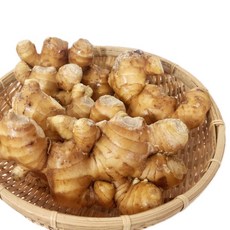 국산 햇생강 생강 씨 종자 흙 생강 세척생강 특품, 1개, 세척생강[특품] 500g