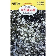 天星牌 大花滿天星種子 (Baby's Breath) F-488 野菜部屋穗耕種苗, 1包