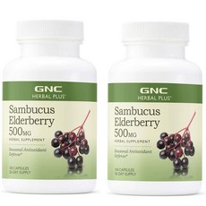GNC 엘더베리 삼부커스 500mg 100캡슐 x 2통 Sambucus, 2개, 100정
