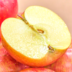 [2일간초특가] 농장직송 초고당도 경북 청송 부사 사과 가정용 꿀사과, 1개, 2kg