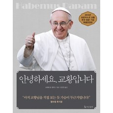 您好 我是教宗, The Nan出版社