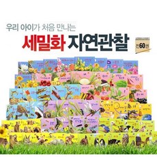 [한국헤밍웨이] 세밀화 자연관찰 전집 (전 60권)