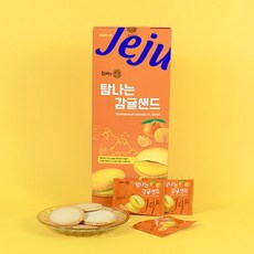 탐나는초콜릿 탐나는 감귤샌드, 1개, 224g