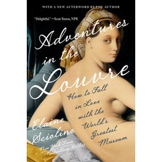 (영문도서)Adventures in the Louvre: How to Fall in Love with the World's Greatest Museum Paperback, W. W. Norton & Company, English, 9781324123439
