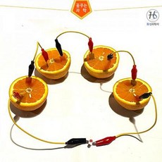 픽데이즈 과일전지만들기세트 발광 다이오드 화학실험세트, 1개