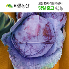< 바른농산 > 국내산 적양배추 적채 자색양배추, 1개, 8kg