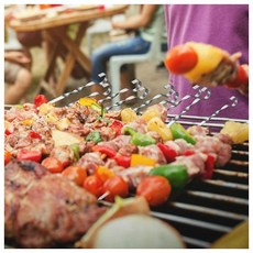 그릴 캠핑꼬치 스텐 바비큐 10p세트 gcp*0836ak, 색상:기본