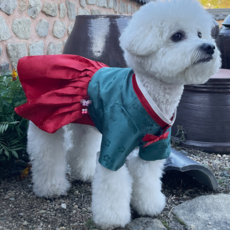 혜인천 강아지옷패턴 57-246 P1690 - Dog hanbok(강아지 한복 여아), 1개