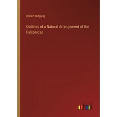 (영문도서) Outlines of a Natural Arrangement of the Falconidae Paperback, Outlook Verlag, English, 9783385366794