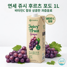 연세 쥬시 후르츠 포도주스 적포도 100%, 2개, 1L