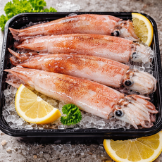 [내일도착] 특품 급냉 한치 고단백 저지방 찜 구이 볶음용 15마리 내외, 1세트, 한치 1kg (15미 내외)