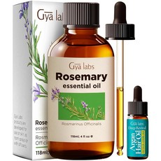 Gya Labs 로즈마리 모발용 에센셜 오일 - 대용량 118.3ml(4액량 온스) 디퓨저 아로마테라피 헤어 케어 스킨 바디 마사지 및 DIY 캔들 만들기 향기용 프리미